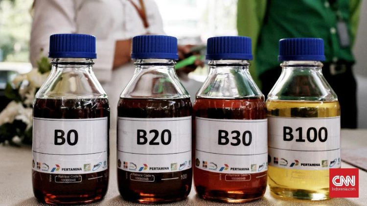 Pemerintah Implementasikan Biodiesel B50 Mulai Semester II Tahun 2026