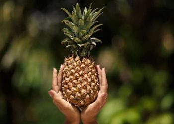 5 Manfaat Mengonsumsi Nanas Setiap Hari Secara Bijak