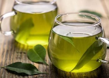 Kesalahan Minum Teh yang Dapat Merusak Usus Menurut Dokter Harvard