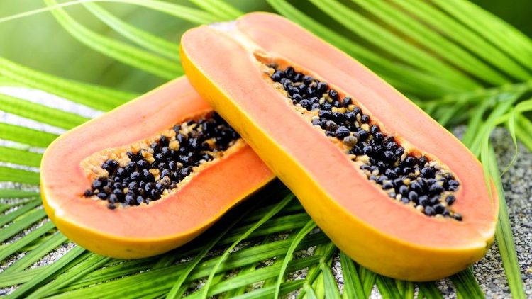 Makanan yang Dilarang Dikonsumsi Bersamaan dengan Pepaya
