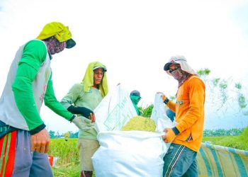 Kebijakan Pangan Prabowo Dinilai DPR Meningkatkan Kesejahteraan Petani