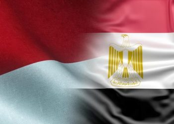 Ratusan Ribu Warga Mesir Kagumi Presiden RI yang Bawa Perdamaian