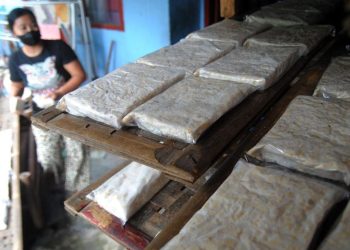 Apakah Tahu dan Tempe Aman untuk Dikonsumsi?