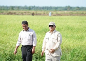 Mentan Prediksi Tiga Bulan Lagi Indonesia Hentikan Impor Beras