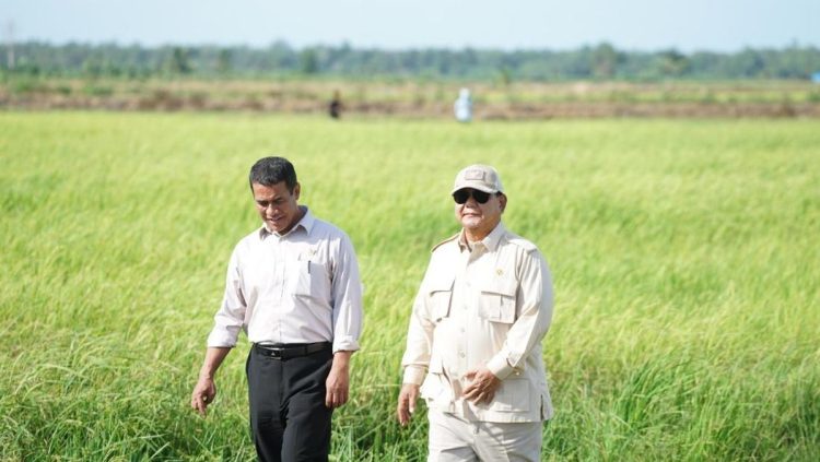 Mentan Prediksi Tiga Bulan Lagi Indonesia Hentikan Impor Beras