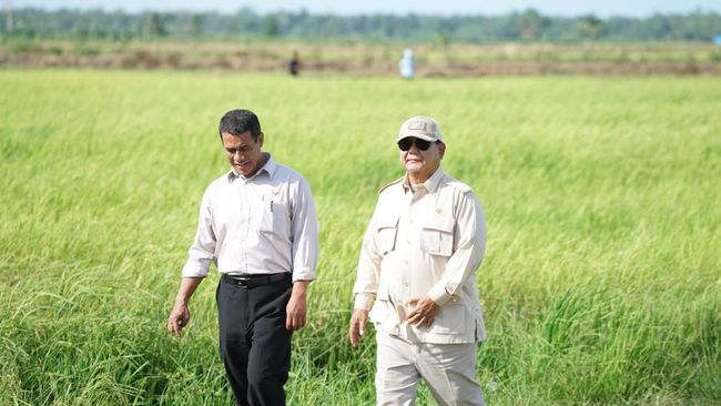 Belajar dari Soeharto, Prabowo Berhasil Swasembada Beras dalam Setahun