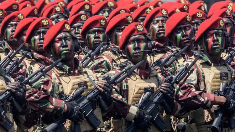 TNI Siap Kirim Pasukan Perdamaian ke Gaza Dengan Mandat