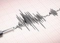 Gempa M 5,0 Mengguncang Kaimana Papua Pagi Ini dan Sejumlah Daerah Lain