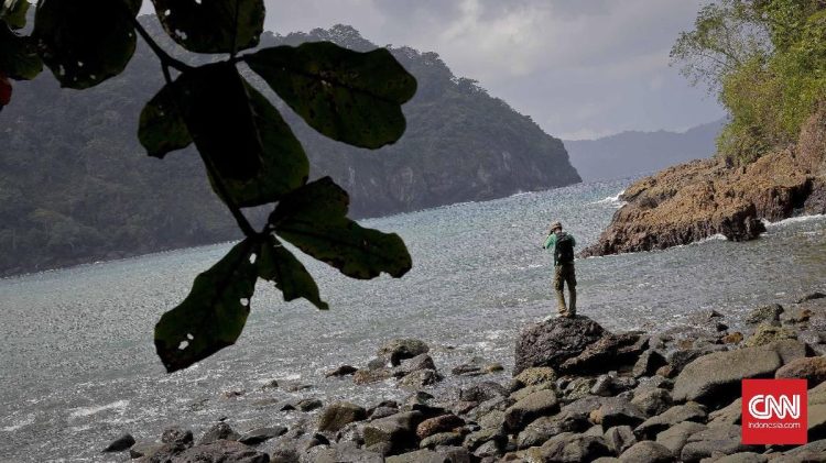 Turis Kembalikan Batu Alam Wisata yang Diambil Pulau 10 Tahun Lalu