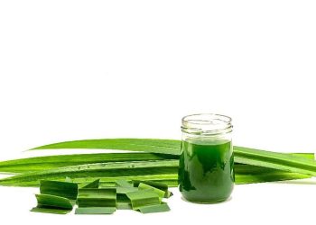 7 Manfaat Menakjubkan Daun Pandan untuk Kesehatan Anda