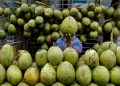 7 Waktu Ideal untuk Mengonsumsi Air Kelapa