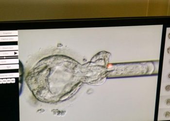 Rekor Dunia Baru! Bayi Lahir dari Embrio yang Dibekukan Selama 31 Tahun