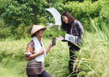 KUR Dorong Pertumbuhan Omzet UMKM hingga Angka Dua Digit, Simak Buktinya!
