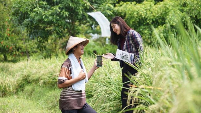 KUR Dorong Pertumbuhan Omzet UMKM hingga Angka Dua Digit, Simak Buktinya!