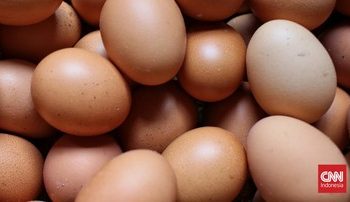 4 Alasan Mengapa Telur Sebaiknya Dikukus Daripada Direbus