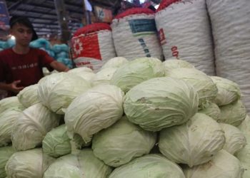 8 Manfaat Kol untuk Kesehatan Termasuk Menurunkan Kolesterol Tinggi