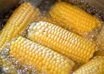 Cara Memasak Berbasis Air untuk Menjaga Keceriaan dan Awet Muda