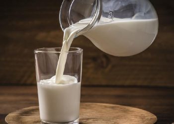 Susu Segar Dapat Mencegah Alergi dan Asma Kata Dokter