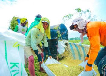 Apresiasi Komisi IV DPR terhadap Kebijakan Pangan Pemerintah