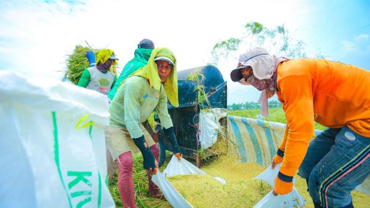 Apresiasi Komisi IV DPR terhadap Kebijakan Pangan Pemerintah
