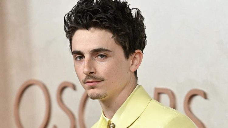 Timothee Chalamet Mengungkapkan Kekecewaannya Tak Menjadi Best Actor di Ajang Besar