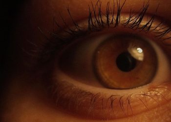 Ciri-Ciri Mata Sehat yang Perlu Diketahui