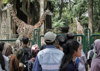 Panduan Wisata ke Kebun Binatang Ragunan Saat Libur Sekolah