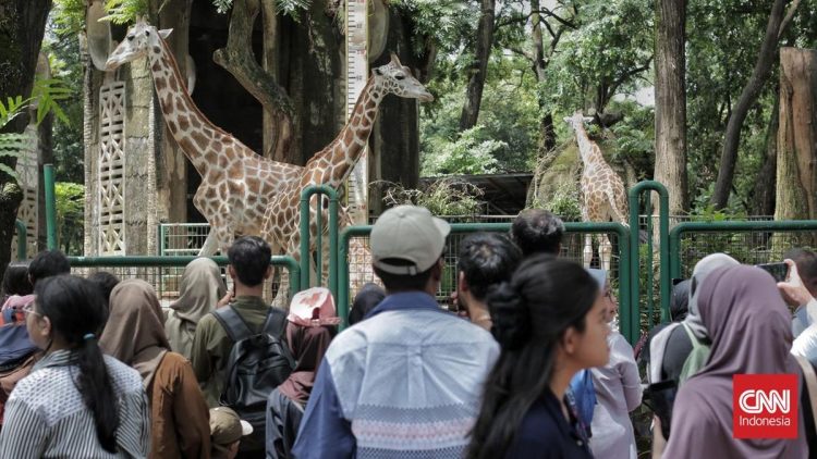 Panduan Wisata ke Kebun Binatang Ragunan Saat Libur Sekolah