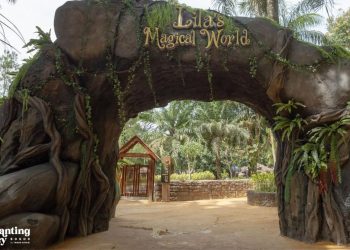 9 Taman Safari di Indonesia Rayakan Perayaan Nataru 2026 secara Serempak