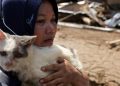 Kisah Cinta Kucing dan Pemilik di Tengah Bencana Sumatera