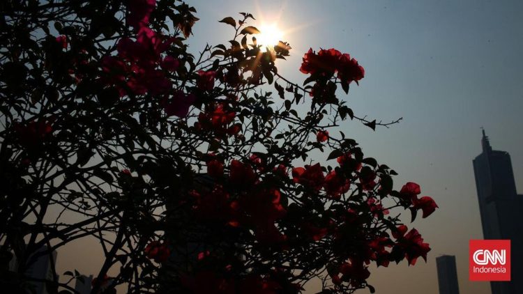 Peluang Heatwave ‘Panggang’ RI Menurut BMKG