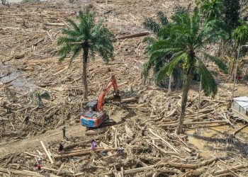 Usut Kasus Kayu Gelondongan Penyebab Banjir di Aceh oleh Bareskrim