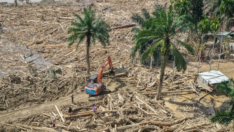 Usut Kasus Kayu Gelondongan Penyebab Banjir di Aceh oleh Bareskrim