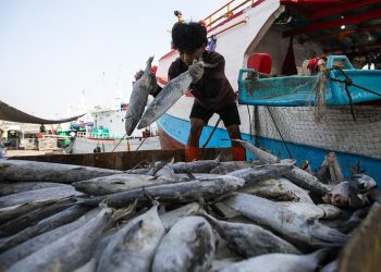 Permintaan Tambahan Rp1,7 T untuk Pemulihan Sektor Perikanan di Sumatra