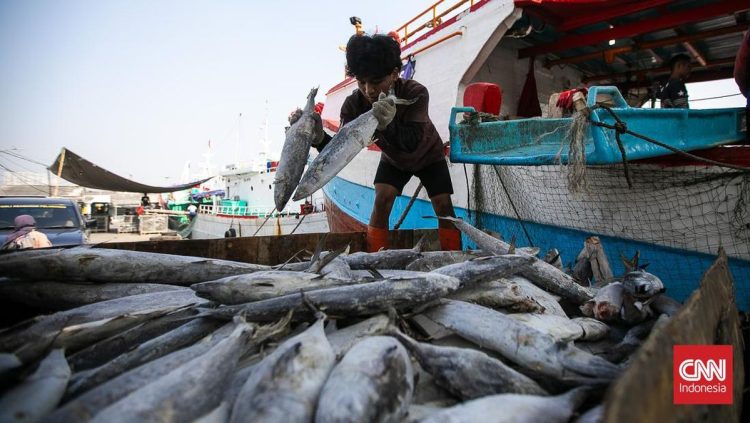 Permintaan Tambahan Rp1,7 T untuk Pemulihan Sektor Perikanan di Sumatra
