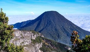 Tombol Panik Akan Hadir di Surya Kencana untuk Panggil Petugas Pendaki