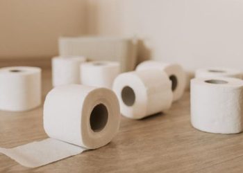 Mengapa Orang Barat Menggunakan Tisu untuk Cebok Alih-alih Air? Ini Penjelasannya