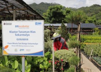 BRI Dukung 42 Ribu Klaster Usaha untuk Pemberdayaan Ekonomi