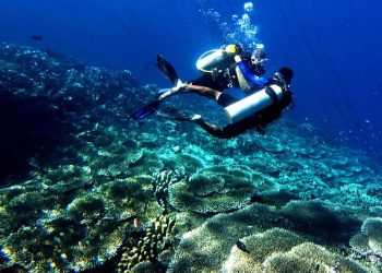 Keindahan Bawah Laut di Gorontalo yang Menakjubkan
