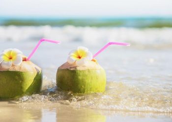 Minum Air Kelapa Setiap Hari, Aman atau Berbahaya? Simak Penjelasannya