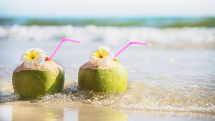 Minum Air Kelapa Setiap Hari, Aman atau Berbahaya? Simak Penjelasannya