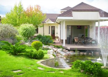 Tanpa Lahan Luas, 7 Jenis Buah Ini Cocok Ditanam di Depan Rumah