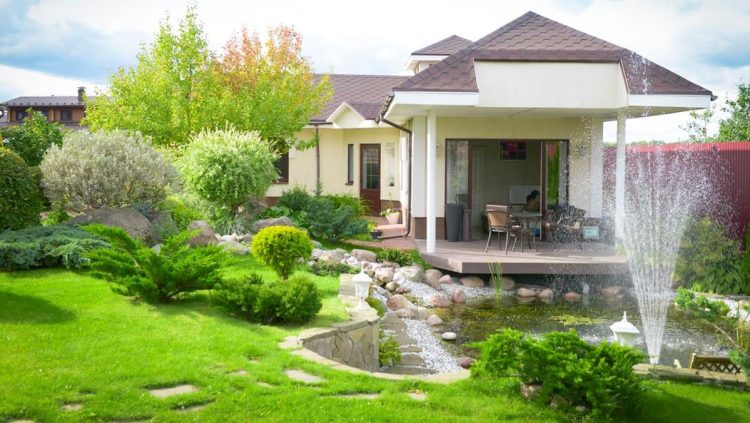 Tanpa Lahan Luas, 7 Jenis Buah Ini Cocok Ditanam di Depan Rumah