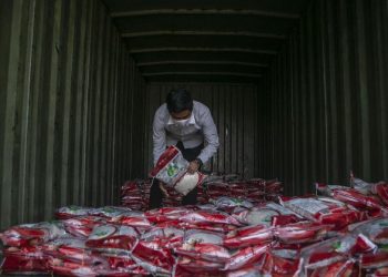 Cek Bansos dan Desil DTSEN dengan Mudah Menggunakan NIK